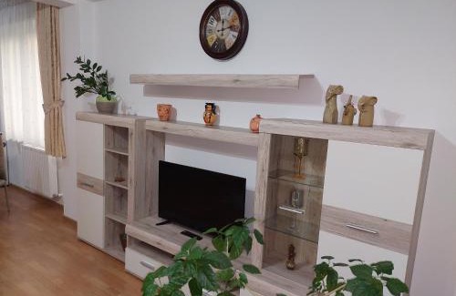 Tirgu Mures Apartment | Cosy apartment I