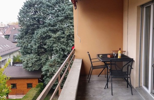 Villeneuve Apartment | Cosy Apartment next to the train station and Lake Leman