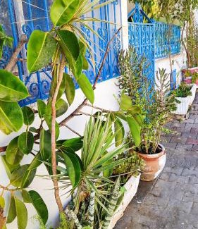 Sidi Bou Said Apartment | Cosy Appartement in "Sidi Bou Said"