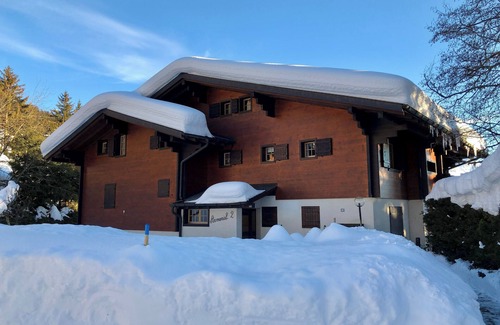 Villars-sur-Ollon Apartment | Cosy Chalet Apartment with Stunning Views, 1 BR