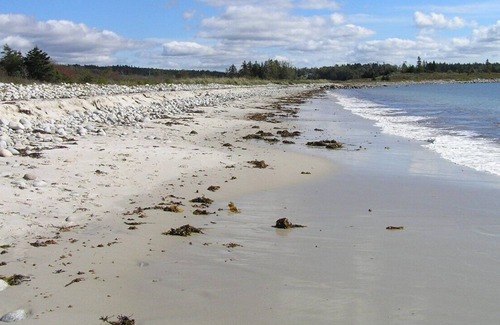 Halifax County Cottage | Cosy Cottage with View of St Margaret's Bay close to Pristine Beaches