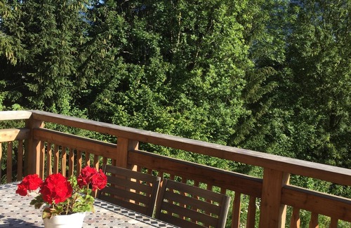 Chatillon-sur-Cluses Ski Chalet | Coté Source independent mountain chalet - 6 people