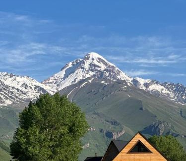 Kazbegi Apartment | Cottage AISI/კოტეჯი აისი