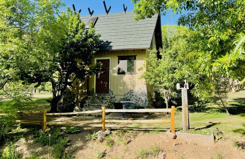 Cornville Cottage | Cottage by the Creek #3 - Quaint A-frame cottage on the water
