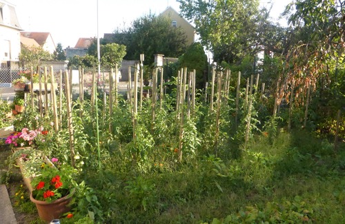 Colmar Cottage | Cottage in a large house in the center of Colmar with garden and free parking