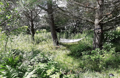 Orford House | Cottage next to National Park, lakes, ski resort and so much more!
