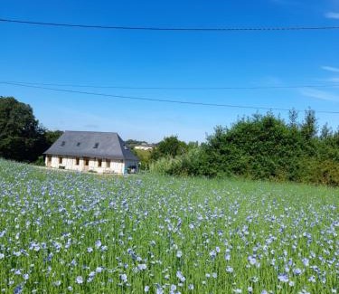 Pont-Audemer - Val de Risle House | Cottage normand, gîte à la campagne, au calme
