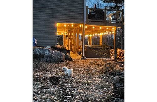 Seguin Cottage | Cottage on Lake Jo near Mactier.