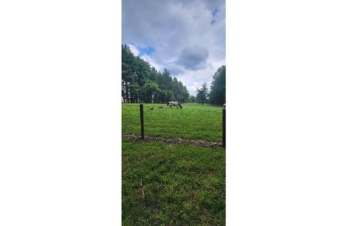 Elkton Apartment | Country Get Away 1 Bedroom Apartment