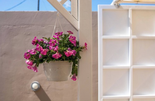 Petaloudes Cottage | Country house by nature ,a Mediterranean enviroment for privacy and relaxation