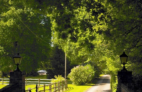 Liphook House | Countryside Retreat on Surrey/Hampshire Border