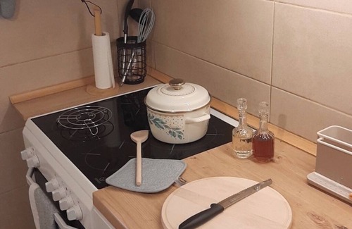 Old Town Apartment | Cozy 1-bedroom apartment with AC and WiFi in city center of Sarajevo