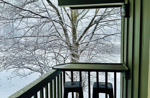 Bellaire Apartment | Cozy 1-bedroom studio in Bellaire-Skiing, Tubing, Golf, Lakes!nn