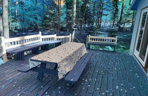 Spruce Cabin | Cozy 2-bedroom cabin in South Shore of Hubbard Lake