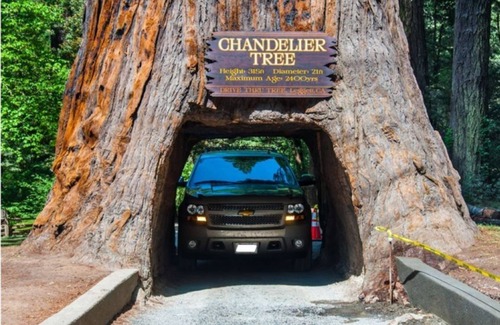 McKinleyville House | Cozy 2 bedroom in the Coastal Redwoods