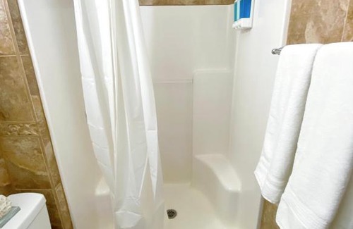 Tampa House | Cozy 3 Bedroom 2 bathroom house 5 minutes away from TPA International Airport