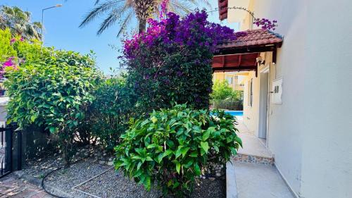 Kadriye Villa | Cozy 4BR villa with Pool in KadriyeBelek