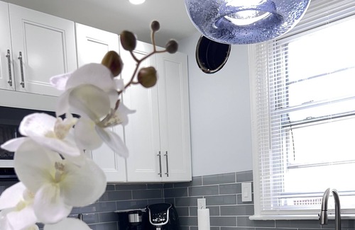 Eastwick House | cozy and stylish! minutes from airport, sports complex and other attractions