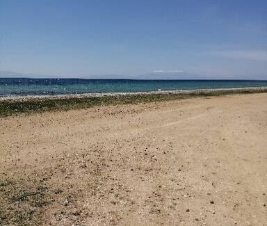 Paralia Dionysiou Apartment | Cozy apartment by the sea