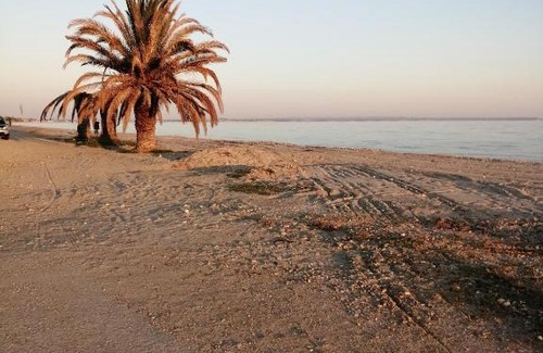 Paralia Dionysiou Apartment | Cozy apartment by the sea