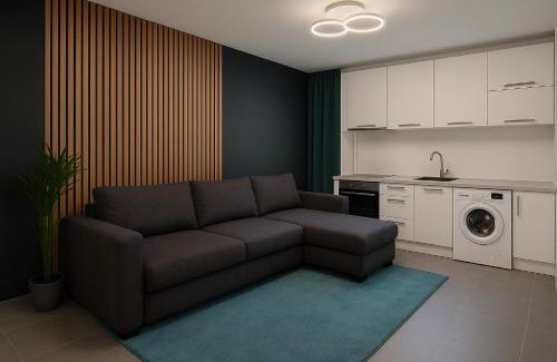 Tirgu Mures Apartment | Cozy Apartment Mureseni