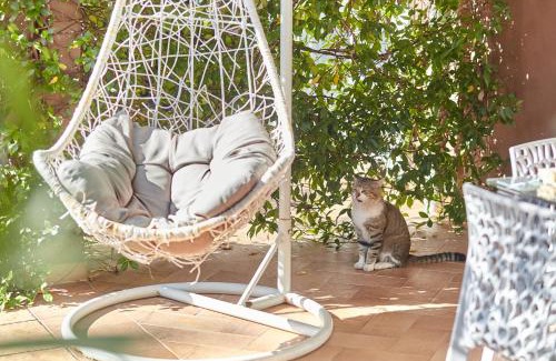 Orahovac Apartment | Cozy Apartment with Garden