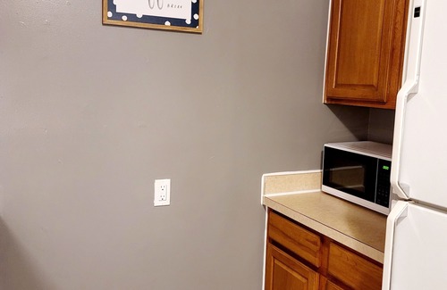 Lansing Apartment | Cozy Apt downtown Lansing next to Lugnuts Stadium