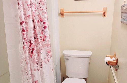 Lansing Apartment | Cozy Apt downtown Lansing next to Lugnuts Stadium