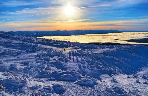 Big White Ski Resort Condo | Cozy Big White Ski-In 1-bedroom condo. Sleeps 4-6+. RENOVATED! Pet-Friendly