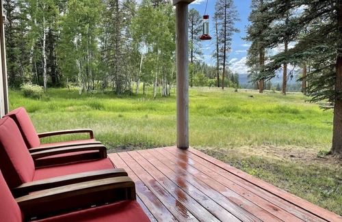 Pagosa Springs Cabin | Cozy Cabin in the Heart of Pristine Wilderness