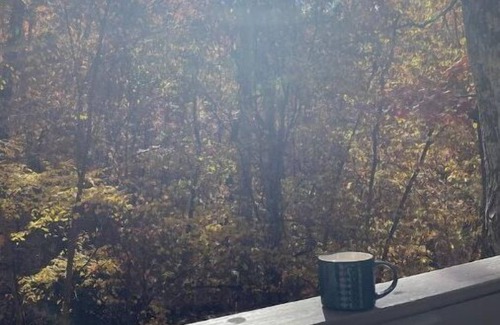 Carbondale Apartment | Cozy Cabins in the woods.