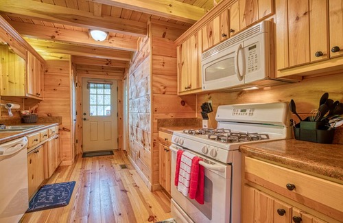 Rutherfordton Cabin | Cozy Carolina Private Cabin with Firepit - Gated Community