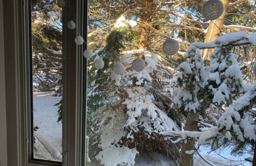 The Blue Mountains Ski Chalet | Cozy chalet w/heated pool, hot tub, sauna 3 min dr. to the Blue Mountain village
