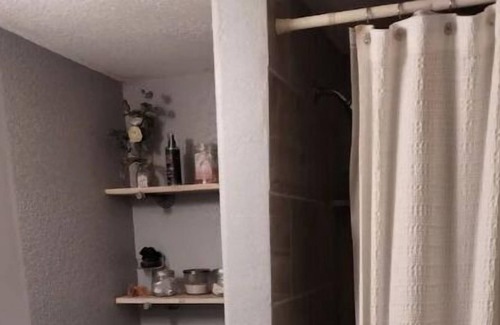 Tobin Hill Apartment | Cozy Converted Carriage Guest House in Yropical Garden