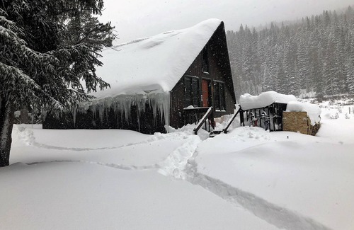 Blue River House | Cozy Creekside Cabin on 1.5 acres minute to Breckenridge