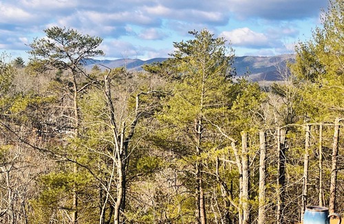 Basye Cabin | Cozy Family Friendly Cottage: GameRoom, Fire Pits & Mtn Views, Mins 2 Ski Resort