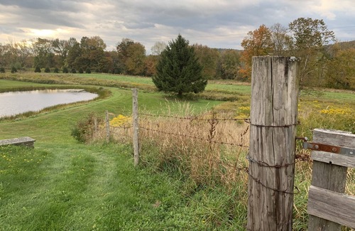 Callicoon Center Cabin | Cozy Farm Private Cabin-30% off Spring Special - 183 beautiful acres