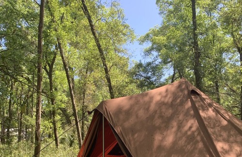 Citrus Springs RV Rental | Cozy glamping spot located just minutes from beautiful springs and manatees!