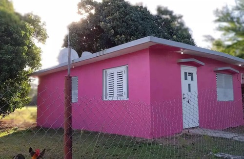 Florida House | Cozy Home In perfect location Close to Everything!