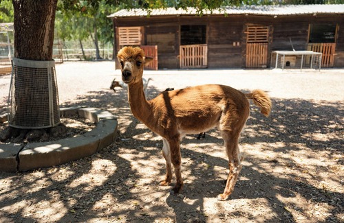 Quartucciu House | Cozy house in the countryside, near sea and nature, with farm animals!