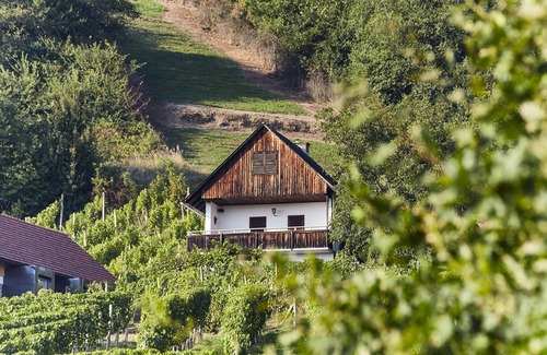 Kloech House | Cozy Kellerstöckl in an absolutely quiet location