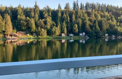 Eatonville Cabin | Cozy Lakefront Cabin (Pet-Friendly)