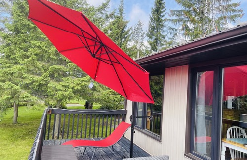 Stone Mills Cottage | Cozy lakeside cottage with breathtaking views & amazing fishing