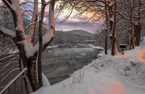Townshend Cabin | Cozy Log Cabin on the River | Fireplace | Loft