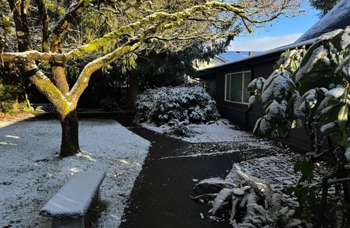 Kent Apartment | Cozy MIL unit in Kent WA