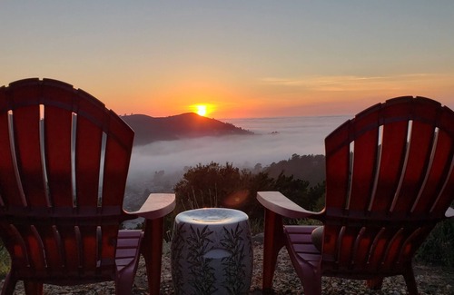 Linda Mar Apartment | Cozy, modern 1-bedroom guest suite with backyard ocean view!