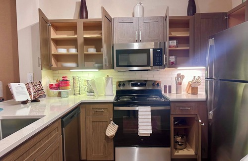 Houston Apartment | Cozy Modern 1BD Med Center NRG Galleria Downtown.