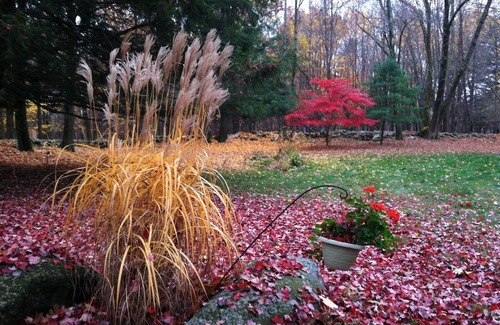 Town of Marbletown House | Cozy modern home on 14 acres of woods