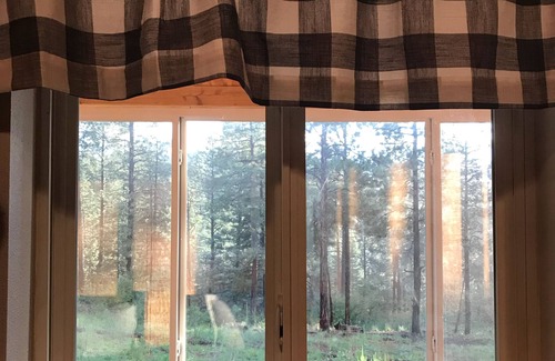 Jemez Springs House | Cozy mountain hideaway