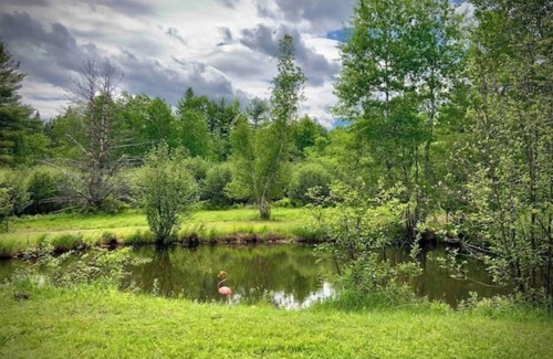 Wilmington House | Cozy Mountain House- 50 acres/Trails/Whiteface mnt